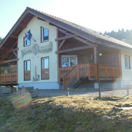 شقة جوراردُميه  في Chalet Du Bucheron المظهر الخارجي الصورة